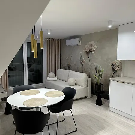 Nowoczesny Apartament Roweckiego Z Klimatyzacja * 比斯库佩茨