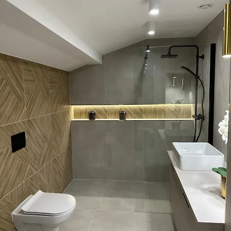 Nowoczesny Apartament Roweckiego Z Klimatyzacja 比斯库佩茨
